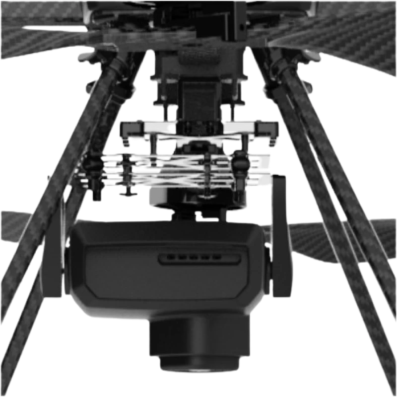 Q6 (Versatile Sentinel)